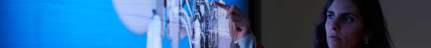 Bild zu Senior Advanced Cyber Unit Analyst